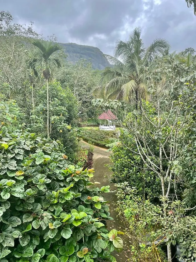Farm stay Nutmeg Valley Idukki India