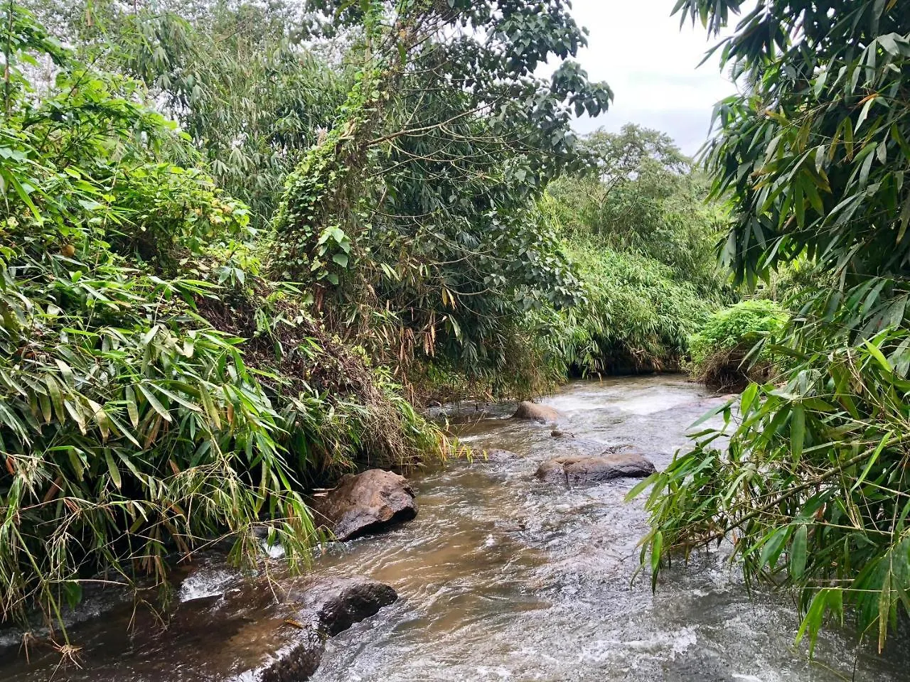 Nutmeg Valley Idukki Farm stay