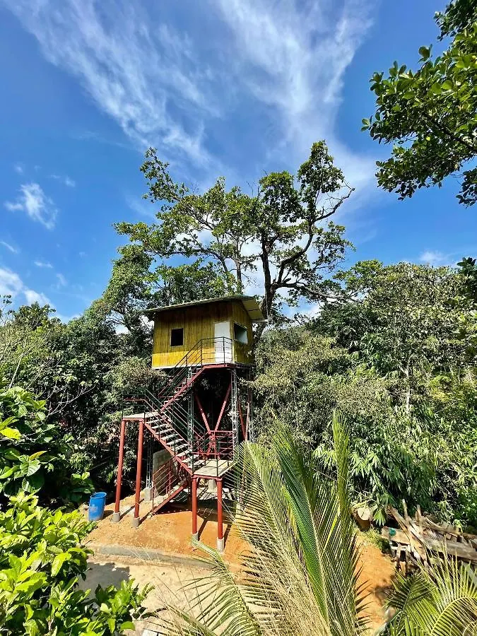 Farm stay Nutmeg Valley Idukki