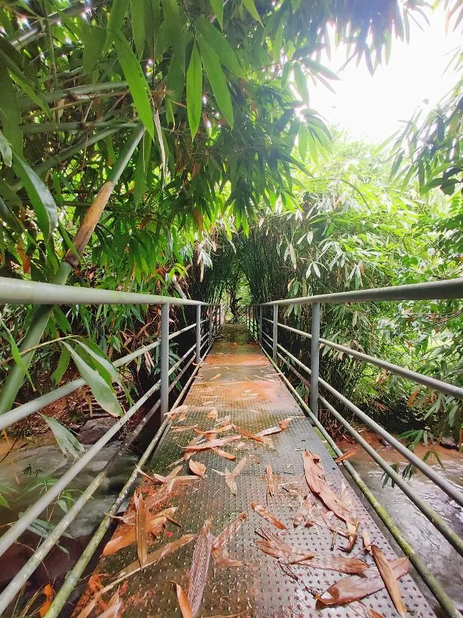 Nutmeg Valley Idukki Farm stay