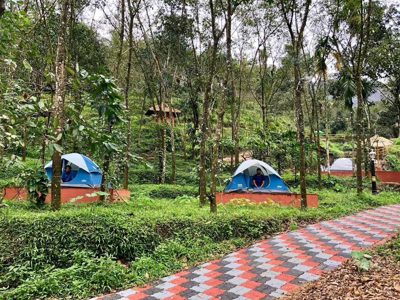 Nutmeg Valley Idukki